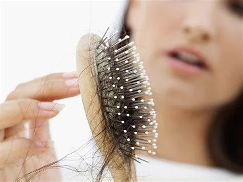Các biện pháp hỗ trợ khác