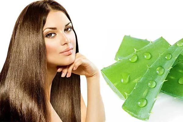 Cách 3: Mặt nạ dưỡng tóc nha đam và mật ong