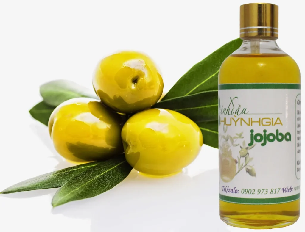 Dầu Jojoba: Cân Bằng Độ Ẩm Cho Da Đầu