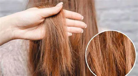 Những lưu ý quan trọng khác