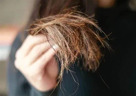 Tóc chẻ ngọn là gì? Dấu hiệu nhận biết