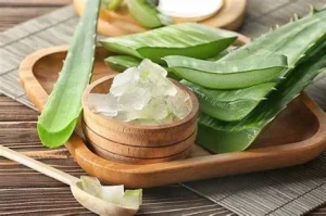 Cách dưỡng tóc bằng nha đam