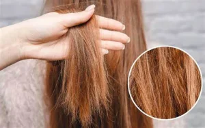 Dầu gội tốt cho tóc khô xơ