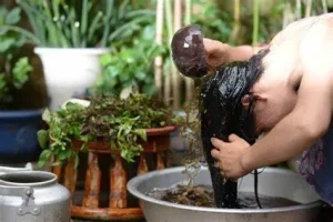 Gội đầu bằng bồ kết có tốt không